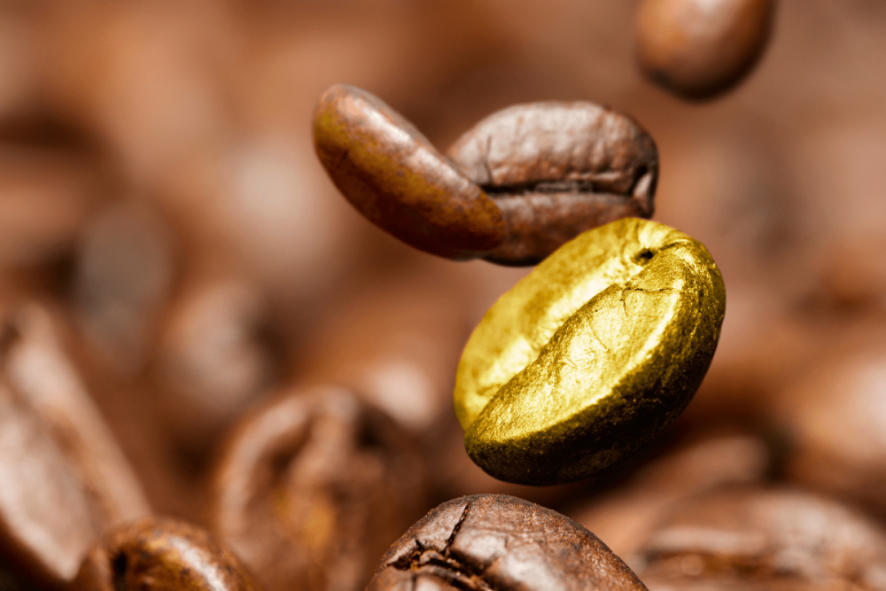 Le café le plus cher du monde. Des grains exclusifs et des cafés de luxe ::  Green Plantation