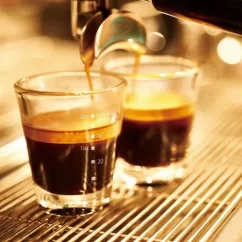 Glass Hario espresso cup in clear design with an 80 ml capacity, perfect for ristretto.