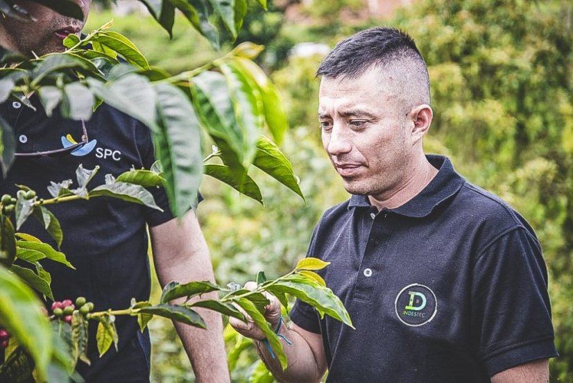 Gerösteter Kaffee für Filter Kolumbien Diego Bermudez.