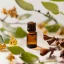 BIO Vilín est une huile infusée 100% naturelle qui procure des effets relaxants pour votre bien-être.