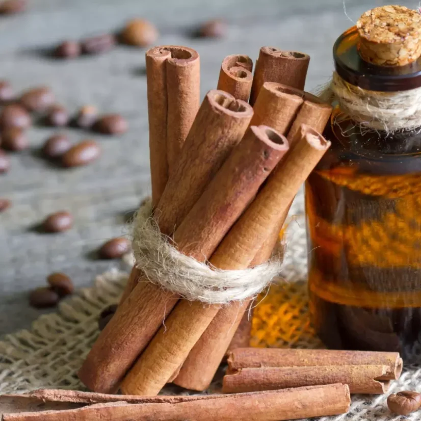 BIO Cannelle est une huile essentielle 100% naturelle qui apporte une fragrance chaleureuse à votre maison.