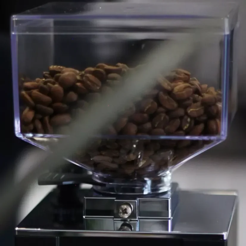 Eureka Bravo hopper.