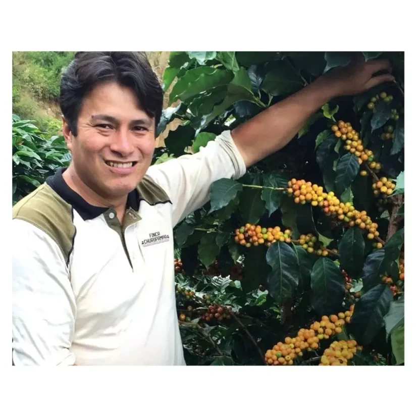 Café en grano para espresso de Perú Finca Churupampa ofrece excelentes propiedades de sabor típicas de los cafés peruanos.