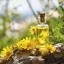 Huile essentielle d'arnica, 10 ml, 100 % naturel avec un effet apaisant.