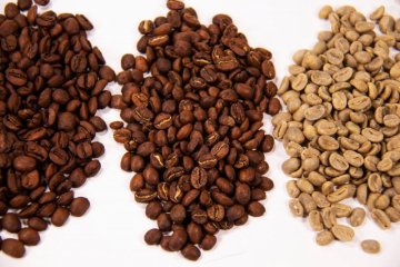 Der Einfluss von Sorten, Herkunft und Verarbeitung auf den Kaffeegeschmack