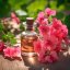 Fľaštička s 10 ml 100% prírodného esenciálneho oleja Pelargónia ružová od značky Pěstík, ktorý podporuje trávenie.