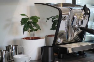 Hvad skal du udstyre dit espressohjørne med?