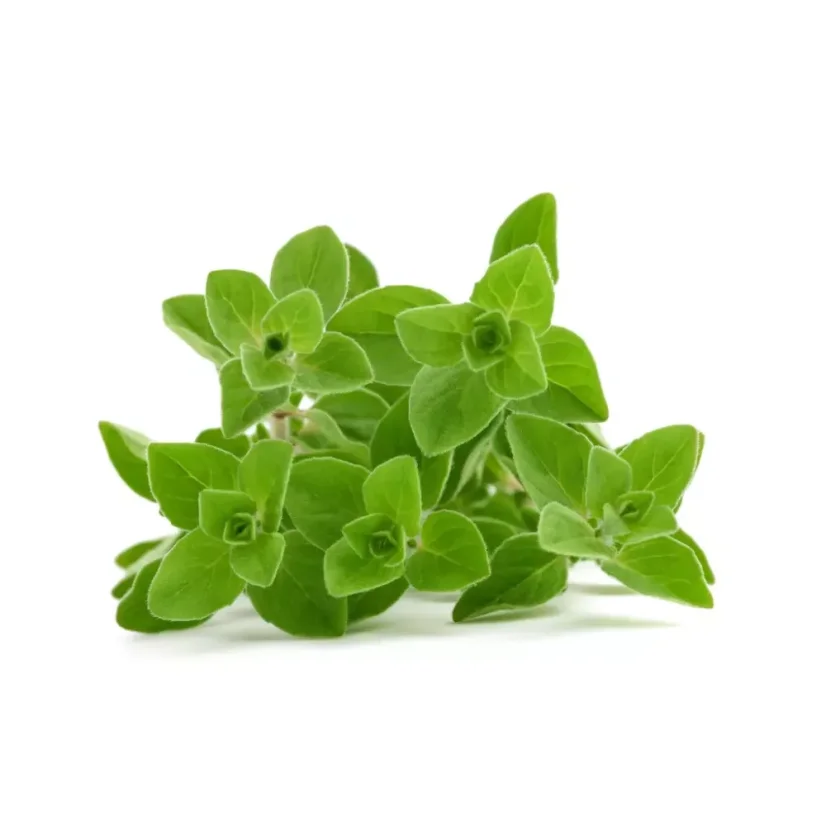 BIO Marjoram is a 100% natural essential oil that offers a herbal aroma to refresh your space.