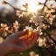 Esenciálny olej Manuka v 10ml balení s čistiacim účinkom, 100% prírodný.