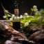 Готу Кола - 100% натуральна ефірна олія 10 мл
