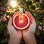 Grapefruit - 100% természetes grapefruit illóolaj 10ml