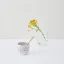 Mug en porcelaine noire Aoomi Mess Mug 03 d'une capacité de 200 ml. Mug en porcelaine noire Aoomi Mess Mug 03 d'une capacité de 200 ml.