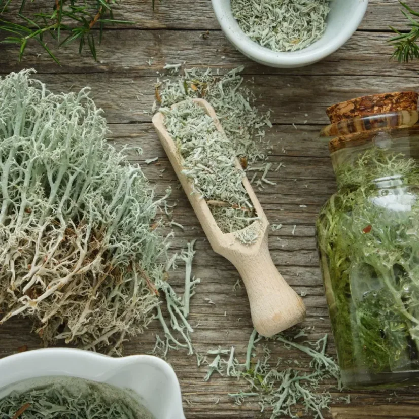 BIO Cypřiš est une huile essentielle 100 % naturelle qui offre un parfum épicé, idéale pour l'aromathérapie.