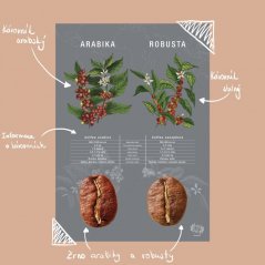 Beanie Arabica vs Robusta - плакат A4