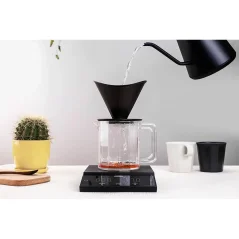 Balance Felicita Parallel Plus utilisée pour verser du café filtré avec une bouilloire et un cactus.