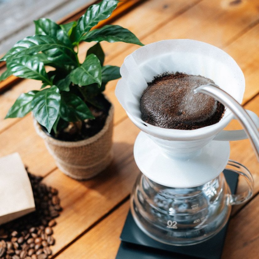 Dripper en céramique blanche V60-02.