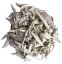Бял градински чай - 100% натурално етерично масло 10 ml