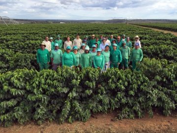Eenzegaarteg Veraarbechtung vun Brasilien Ecoagrícola
