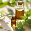 BIO Mélisse est une huile essentielle 100% naturelle qui se distingue par sa certification BIO et offre un arôme rafraîchissant. BIO Mélisse est une huile essentielle 100% naturelle qui se distingue par sa certification BIO et offre un arôme rafraîchissant.
