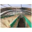 Peru Finca Churupampa es café en grano para espresso que ofrece un contenido medio de cafeína para una experiencia equilibrada.