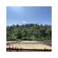 Ethiopien Guji Mancity ist eine Filterkaffee aus hochwertigen Bohnen, die von einer einzigen Farm stammt, ideal um die reichen Geschmäcker und Aromen zu genießen.