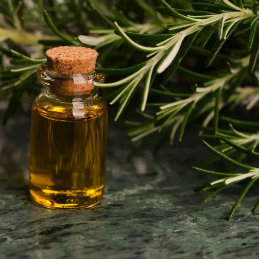 L'huile essentielle BIO de romarin est 100 % naturelle, certifiée comme 100 % biologique, idéale pour l'aromathérapie et le bien-être.