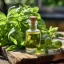 Essential oil Basil, 10 ml, 100% natural with a refreshing effect. Essential oil Basil, 10 ml, 100% natural with a refreshing effect.