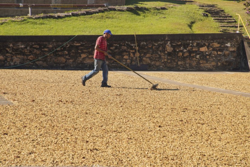 Brazílie - Fazenda Cachoeira da Grama | Filtr - Balení: 250 g