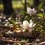 Bouteille d'huile essentielle de Magnolie, 10 ml, 100% naturelle et adaptée aux végétaliens. Bouteille d'huile essentielle de Magnolie, 10 ml, 100% naturelle et adaptée aux végétaliens.