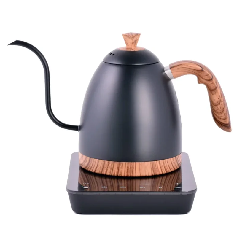 Gooseneck kettle Brewista Artigan in matte black with overheating protection.