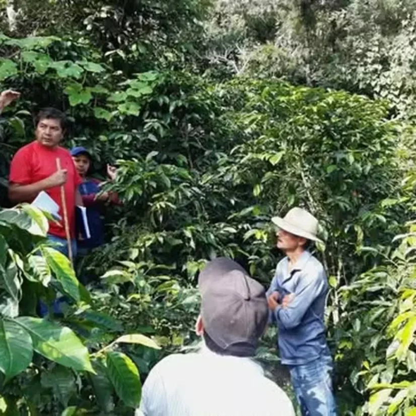 Colombia - Neiva | OMNI - Embalaje: 250 gramos