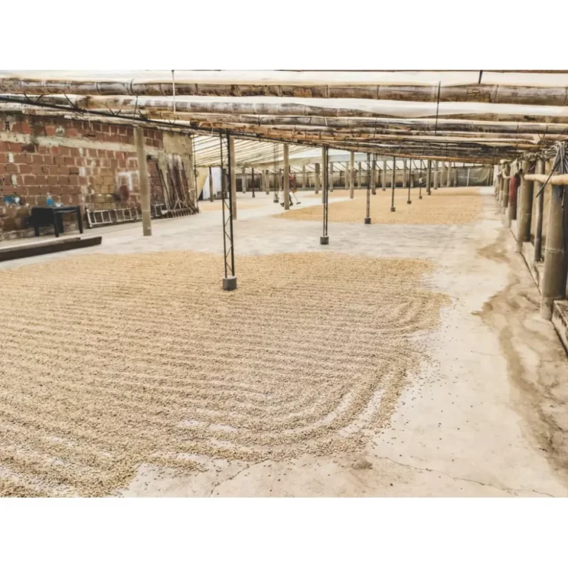 Zrnková káva Kolumbia Los Patios prináša bohatú chuť typickú pre kolumbijské kávové plantáže.