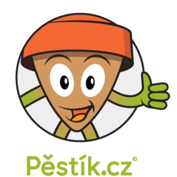Pěstík