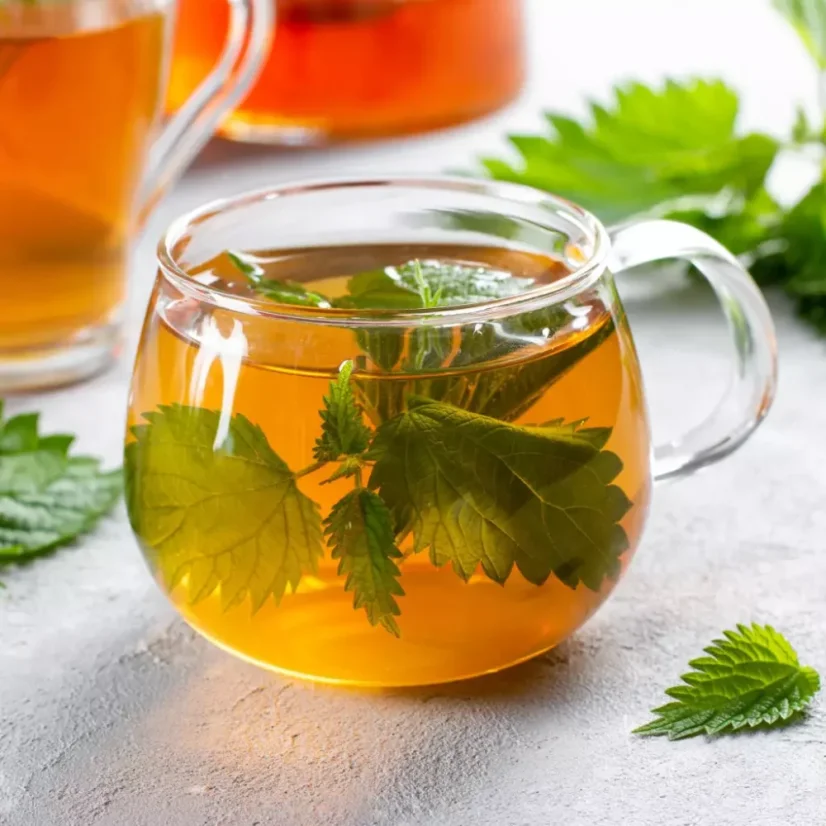BIO Feuilles d'ortie sont un thé aux herbes qui offre une saveur rafraîchissante et des bienfaits naturels des feuilles d'ortie.