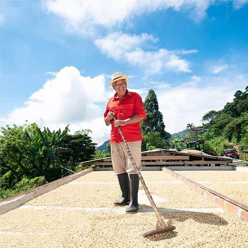 Kolumbie Anserma | Espresso - Balení: 250 g