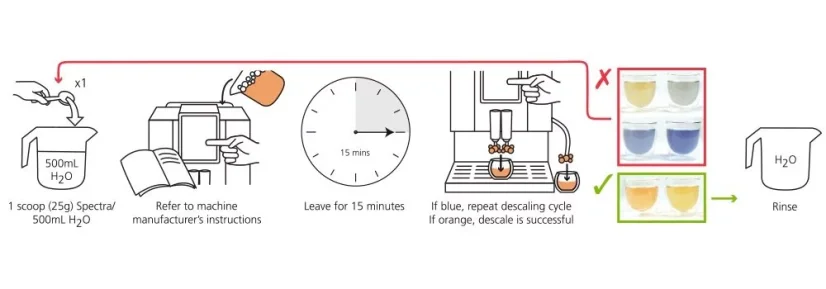 Illustrated guide for cleaning coffee pathways using Cafetto Spectra Descaler