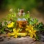 Essential oil of St John's Wort, 10 ml, with a floral fragrance, 100% natural. Essential oil of St John's Wort, 10 ml, with a floral fragrance, 100% natural.