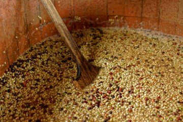 What is fermented coffee