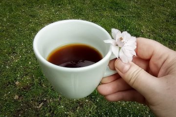 Saisonale Kaffees und Rezepte mit einem Hauch von Frühling
