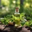 Huile essentielle de mélisse en flacon de 10 ml, 100 % naturelle et adaptée au soutien de la digestion. Huile essentielle de mélisse en flacon de 10 ml, 100 % naturelle et adaptée au soutien de la digestion.