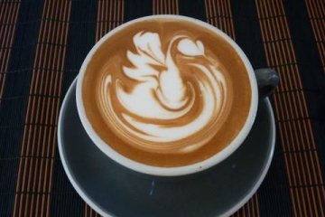 Sådan laver du latte art: svaner og andre dyr