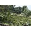 Kaffebønner fra Tanzania Acacia Hills, ideel til espresso, er kvalitetsarabica, der glæder enhver kaffeelsker med sin rige aroma. Kaffebønner fra Tanzania Acacia Hills, ideel til espresso, er kvalitetsarabica, der glæder enhver kaffeelsker med sin rige aroma.