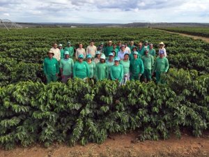 Μοναδική επεξεργασία της Βραζιλίας Ecoagrícola