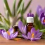 L'huile infusée BIO au safran est un produit 100% naturel qui possède des effets aphrodisiaques.