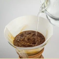 Demonstration der Kaffeezubereitung in einem Chemex mit einem Chemex FSU-100 Papierfilter