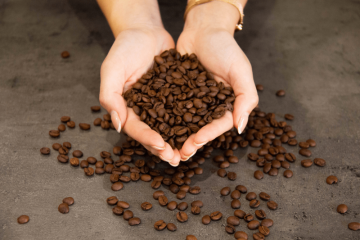 How are coffee beans sorted in a selective roastery?