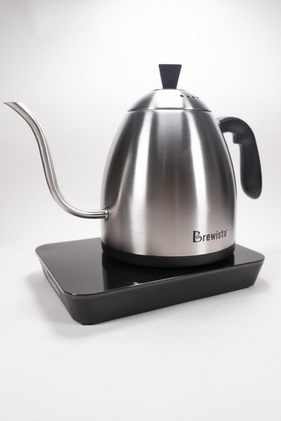 Kettle with adjustable temperature and timer