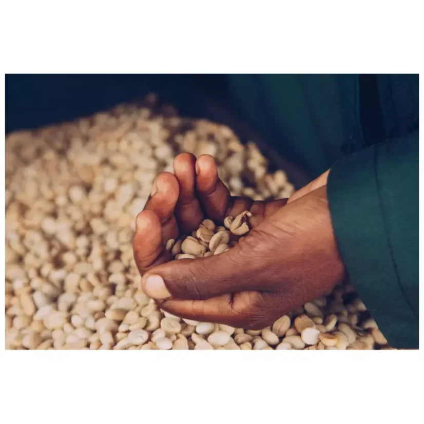 Rwanda Ngoma Honey | Filtr - Balení: 250 g