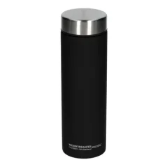 Gourde thermique Asobu Le Baton en argent de 500 ml, fabriquée en acier inoxydable, idéale pour voyager.