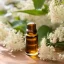 L' huile infusée BIO est un produit 100 % naturel, idéale pour le soin de la peau grâce à ses propriétés bénéfiques.